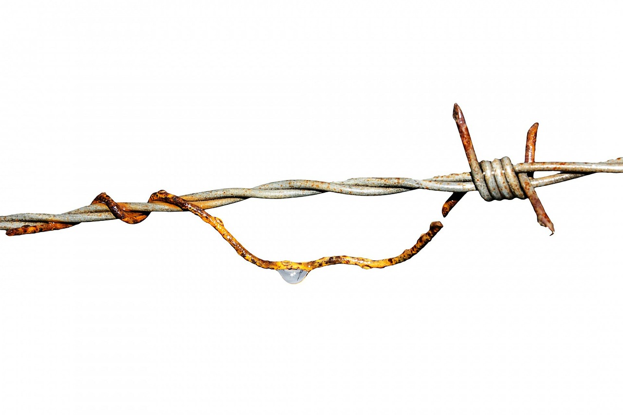 barbed-wire-314332_1280